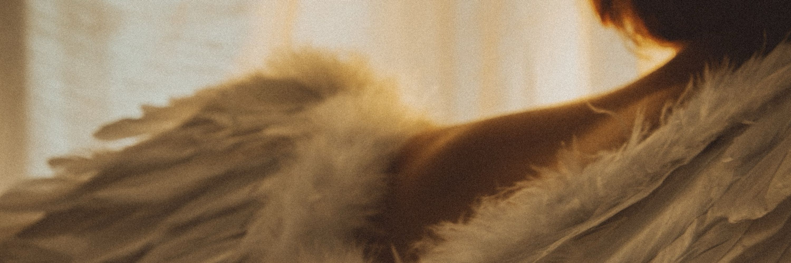 Ludivine • Photographie, Ateliers en Auvergne