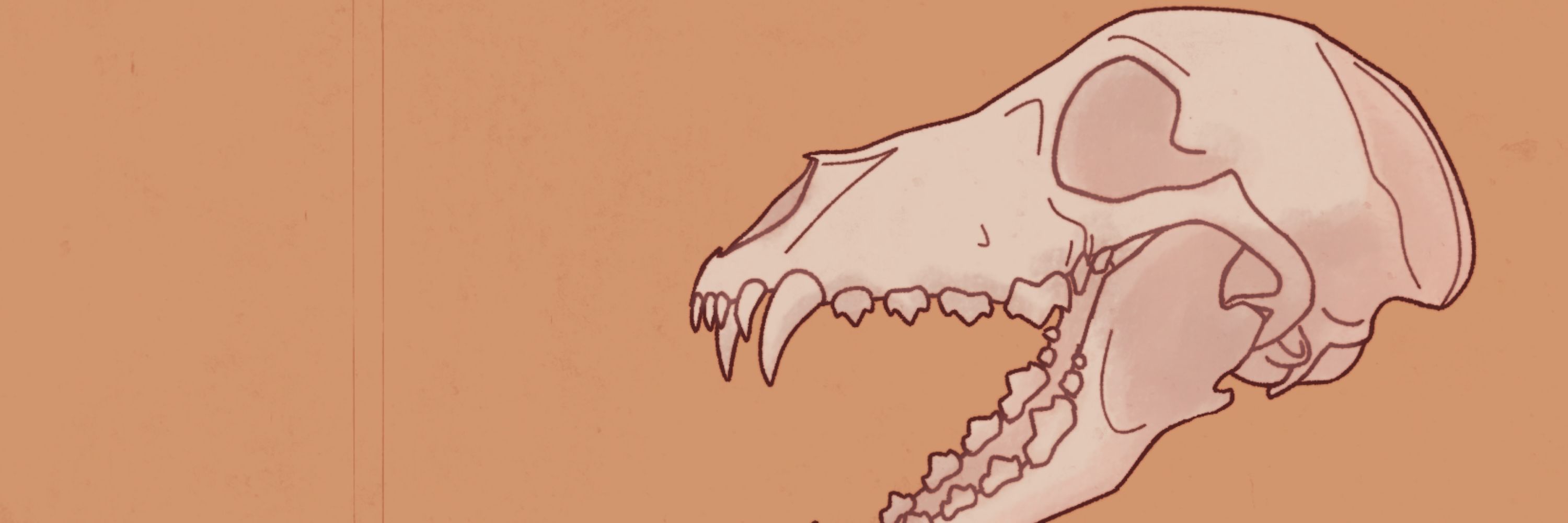 Nightcoyote