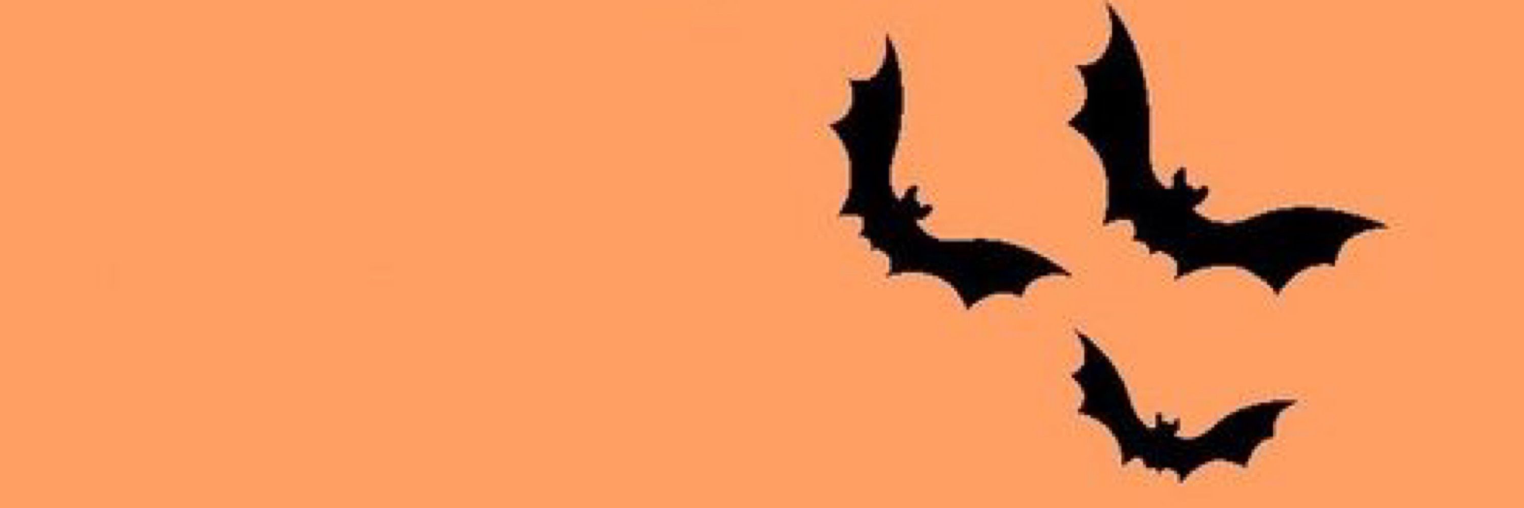 𝖑𝖎𝖙𝖙𝖑𝖊 𝖘𝖚𝖌𝖆𝖗