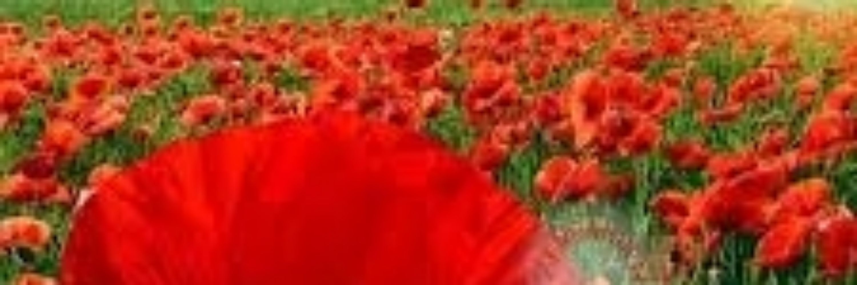 🇹🇷ANTİFAŞİST ÇAPULCU 🇹🇷