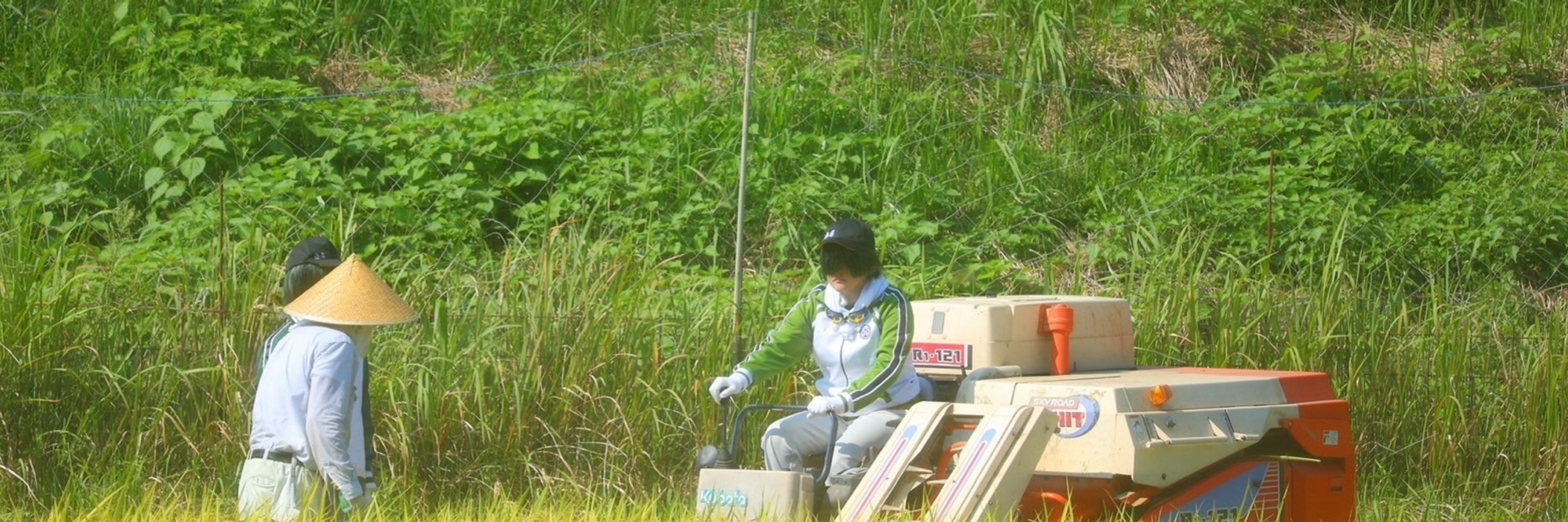 サティ
