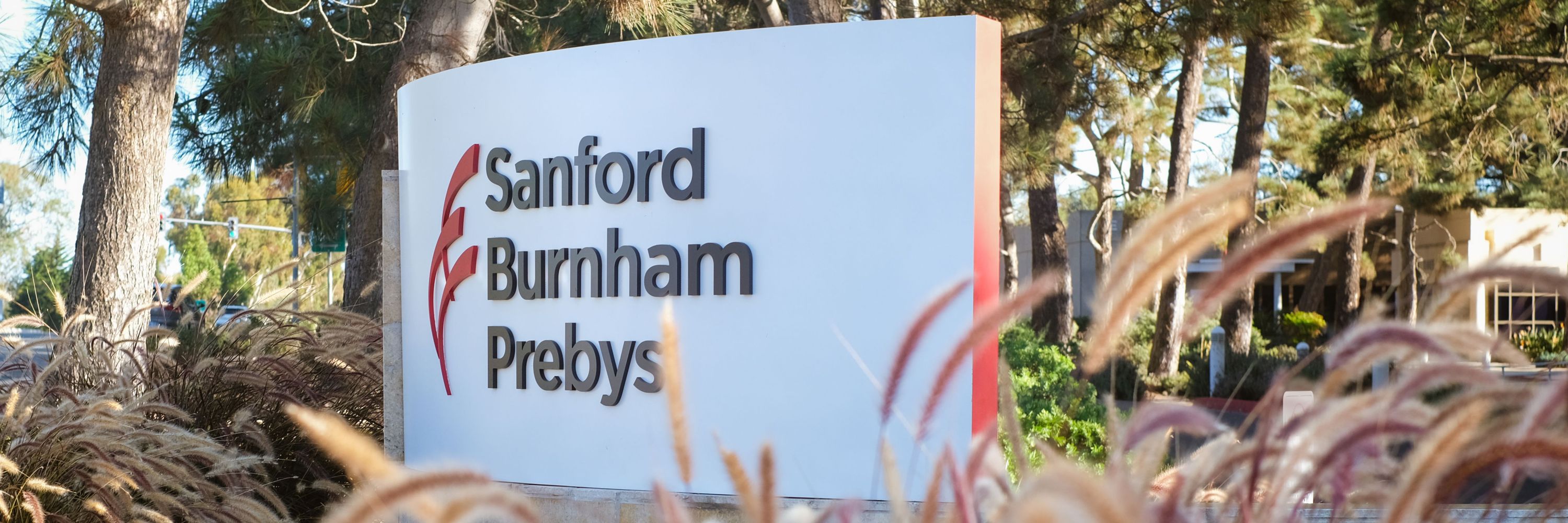 Sanford Burnham Prebys NCI-Designated Cancer Center