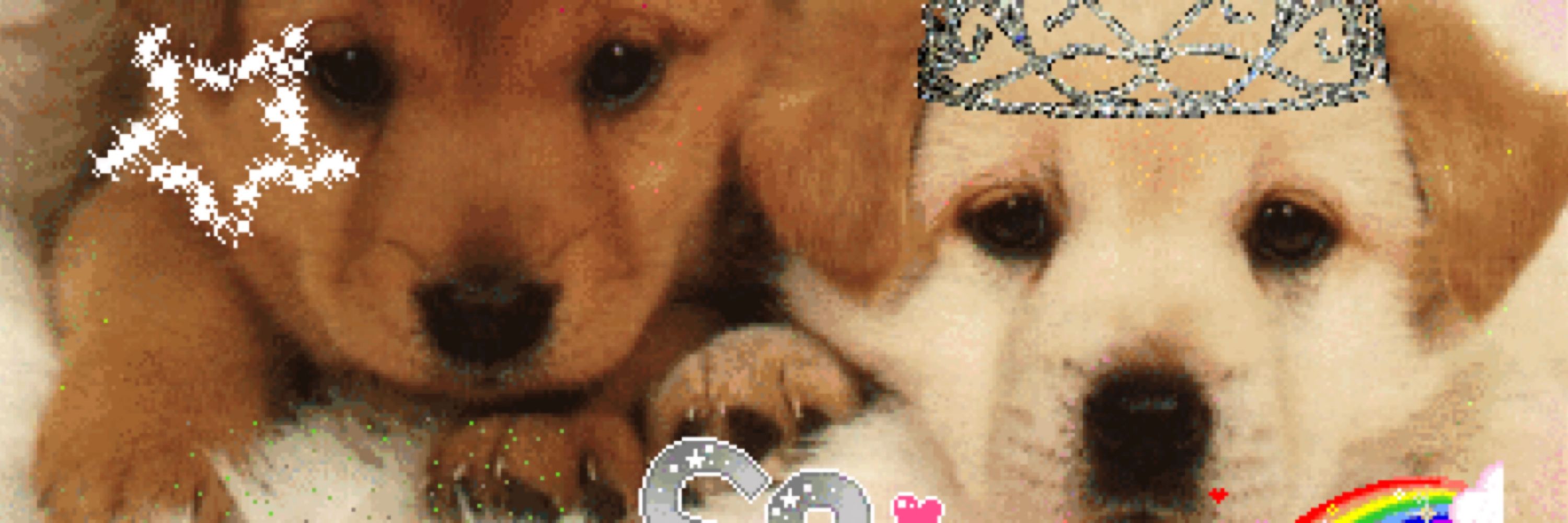 zoey