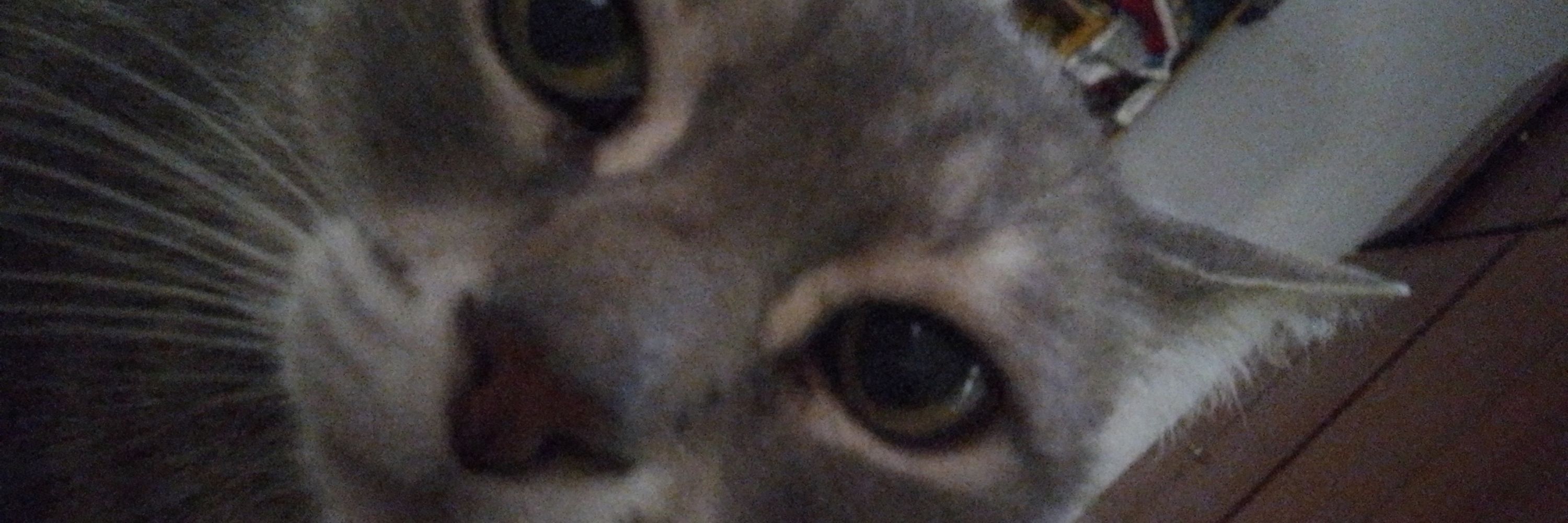Goge