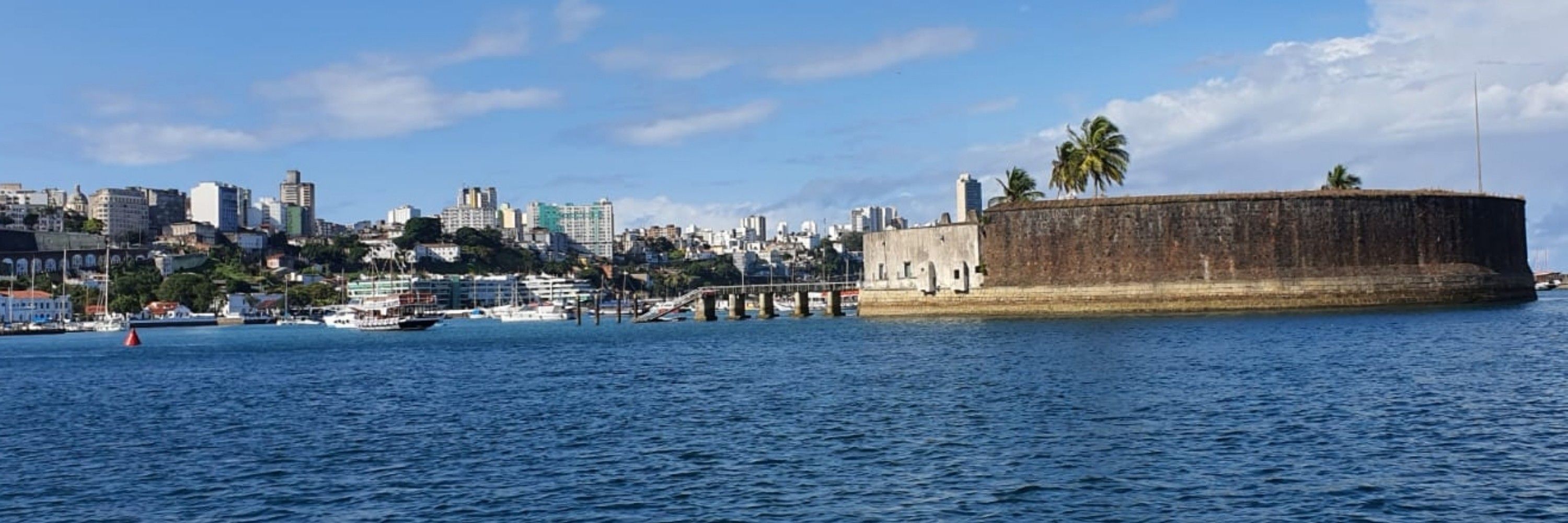 tbahia