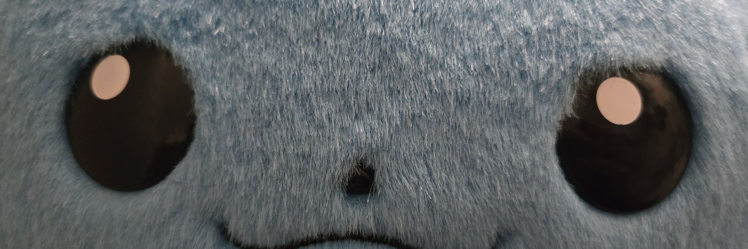 BlueCapBlahaj