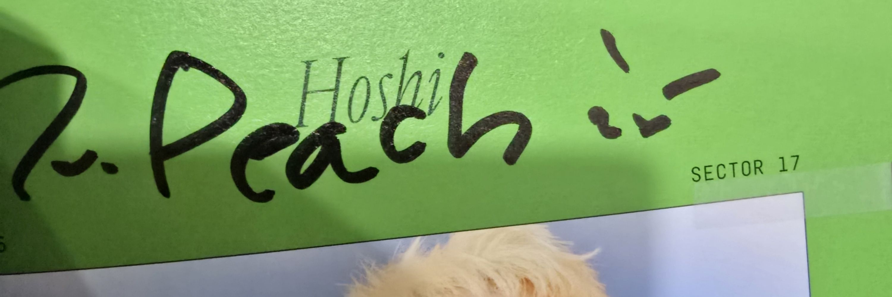 ไอไป๊