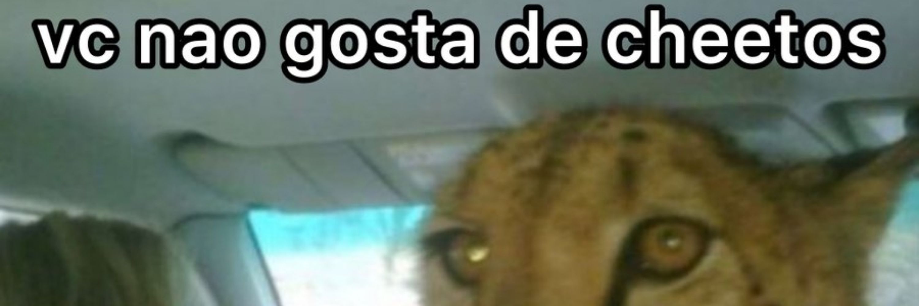 Putassa das idéia 