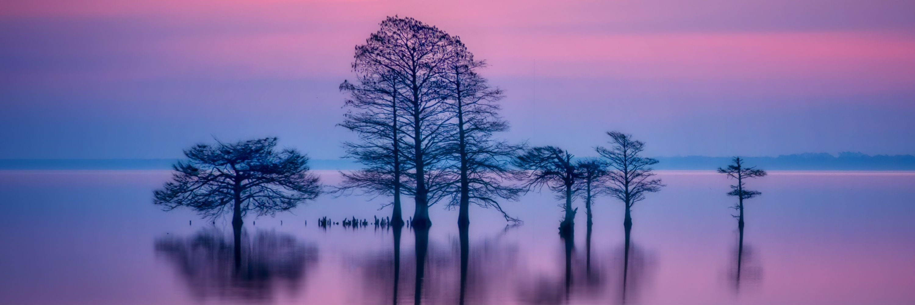 Jianping Yang Photography