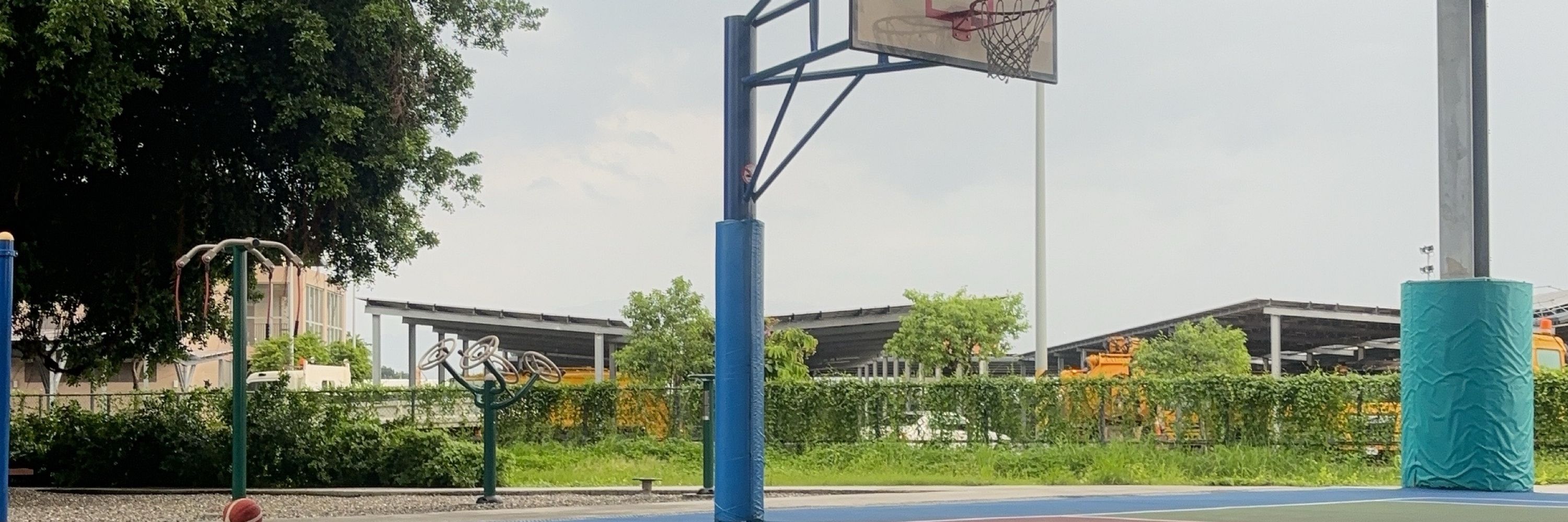 小肚肚