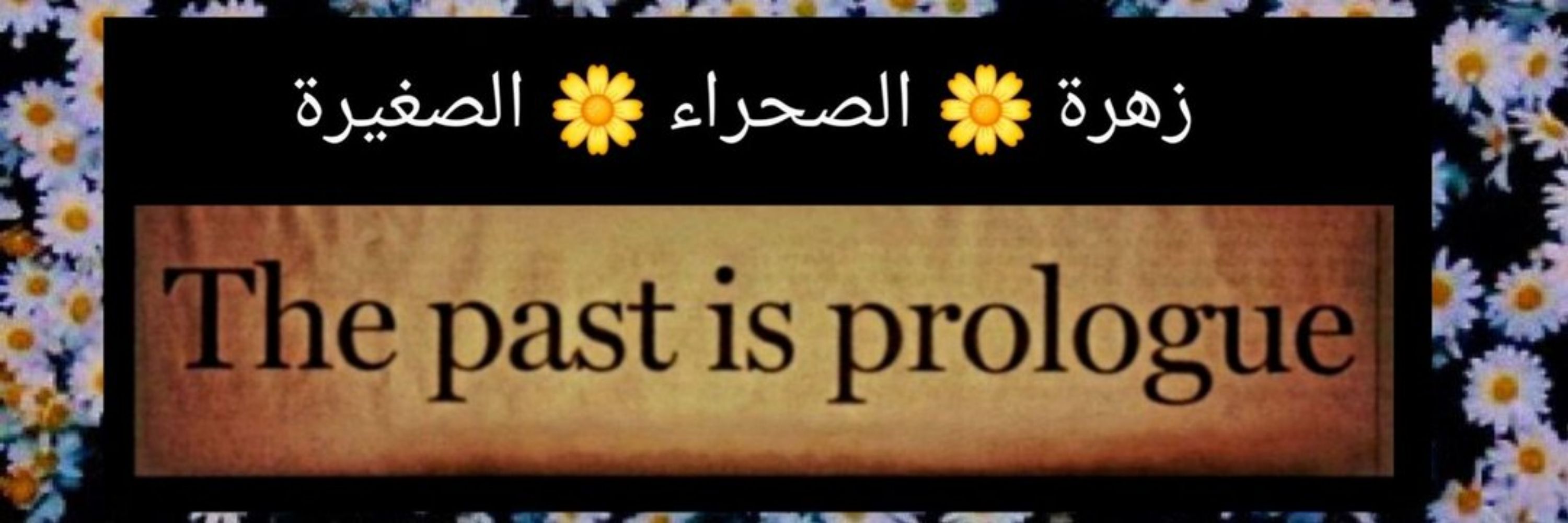Little🌼Desert🌼Flower