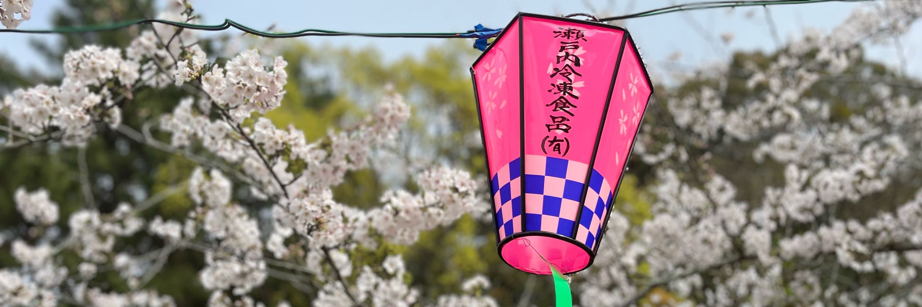 株式特急しおかぜ