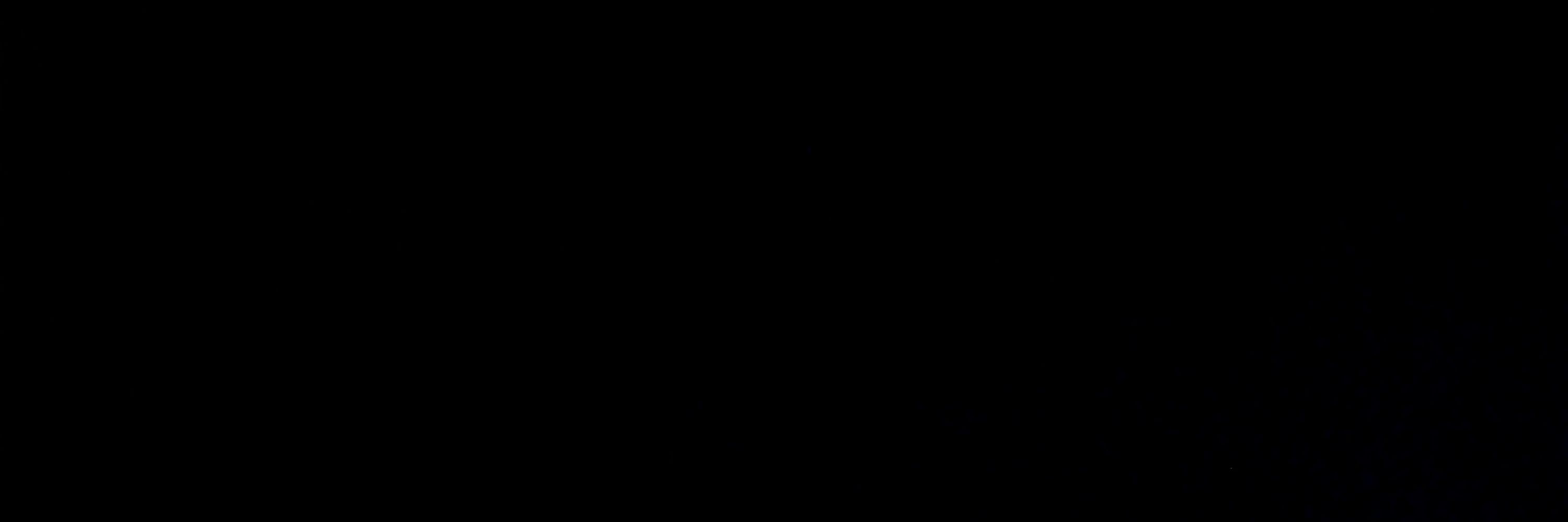 ~Null~