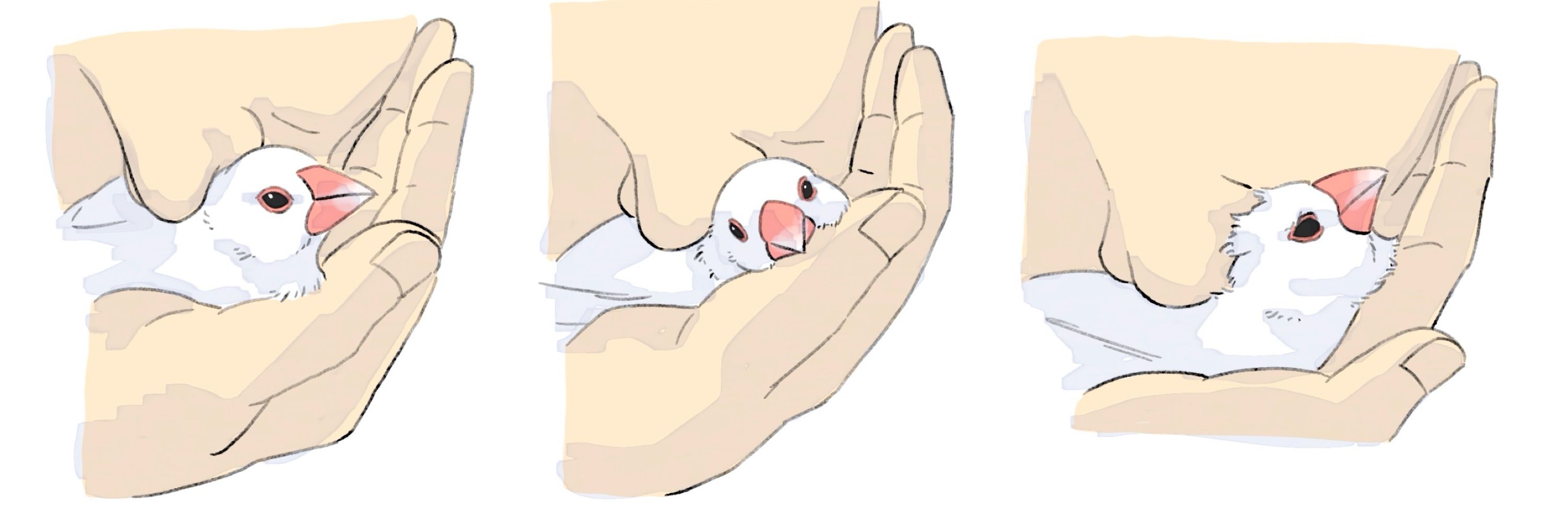 いさご🪵
