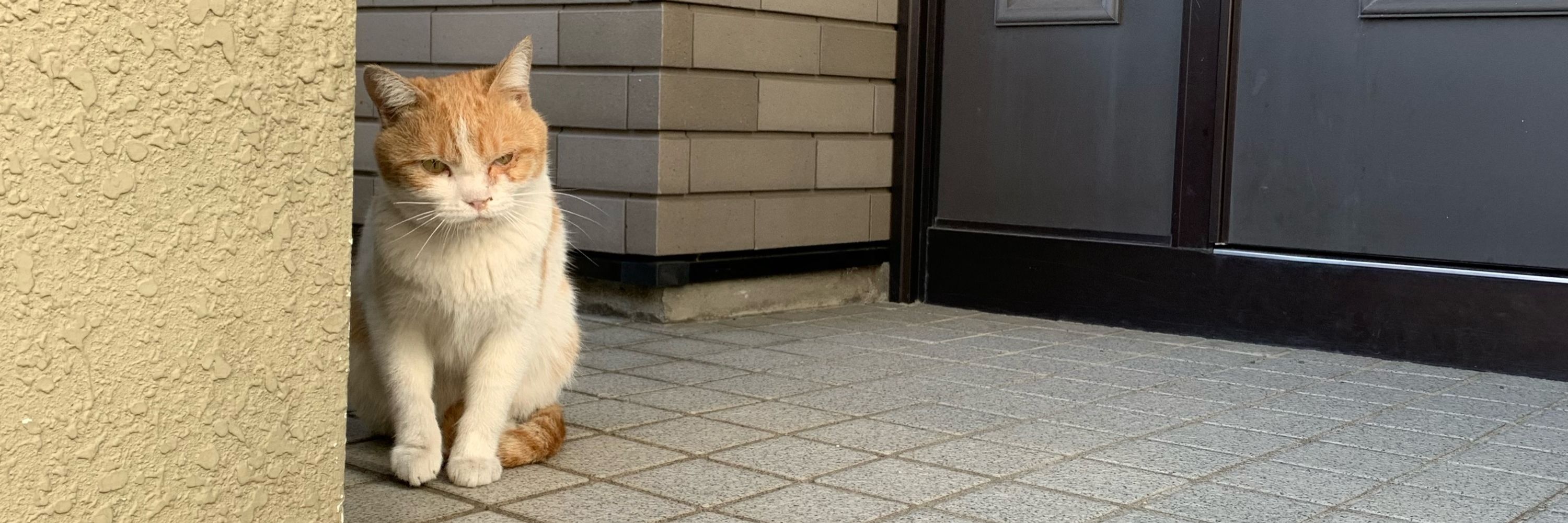 こくり