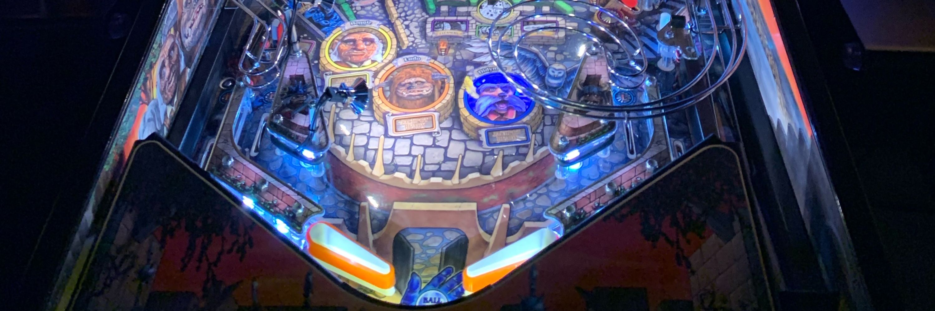 Pinball Selfie Guy