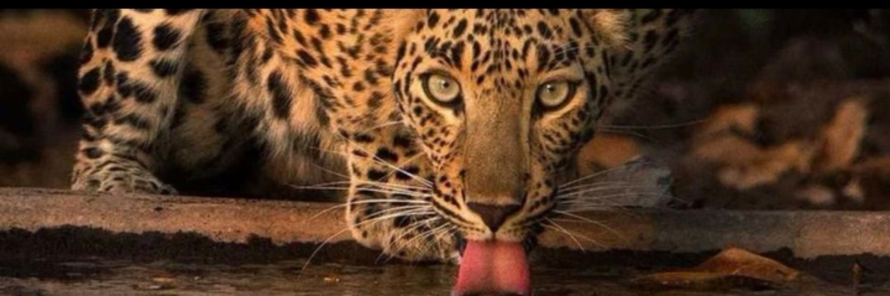 Preta!