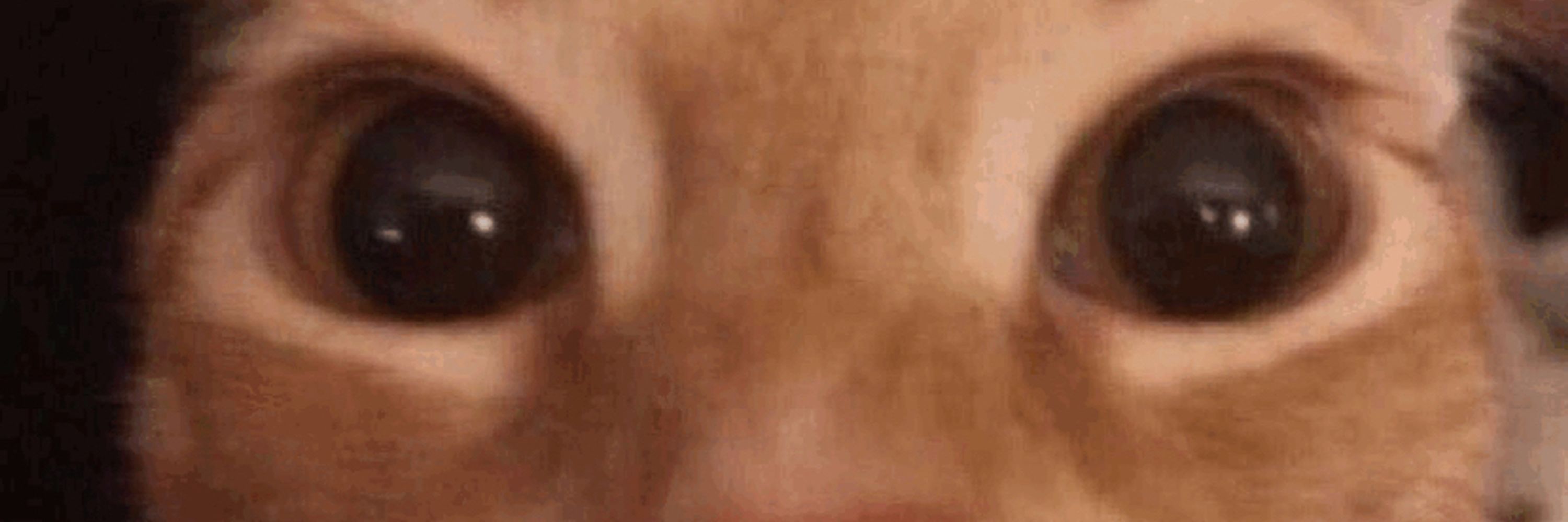evil