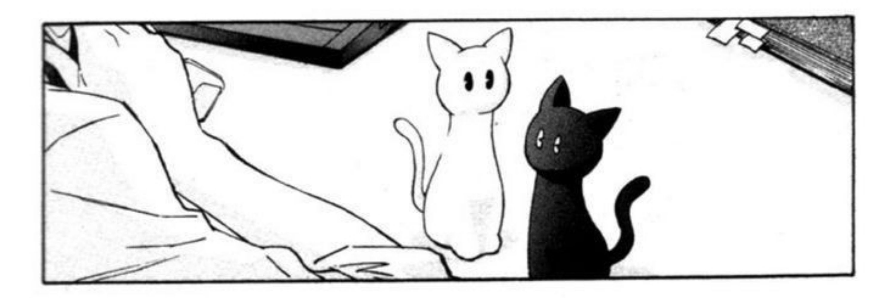 Venni ama Lookism