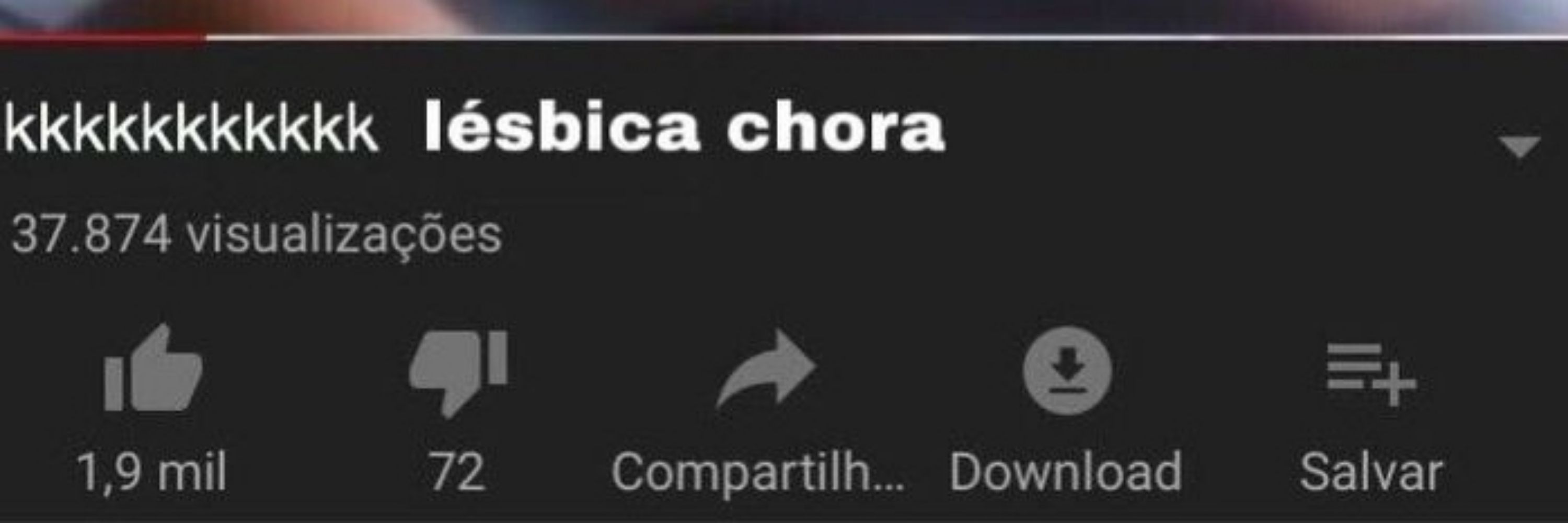 cão de bct e saia