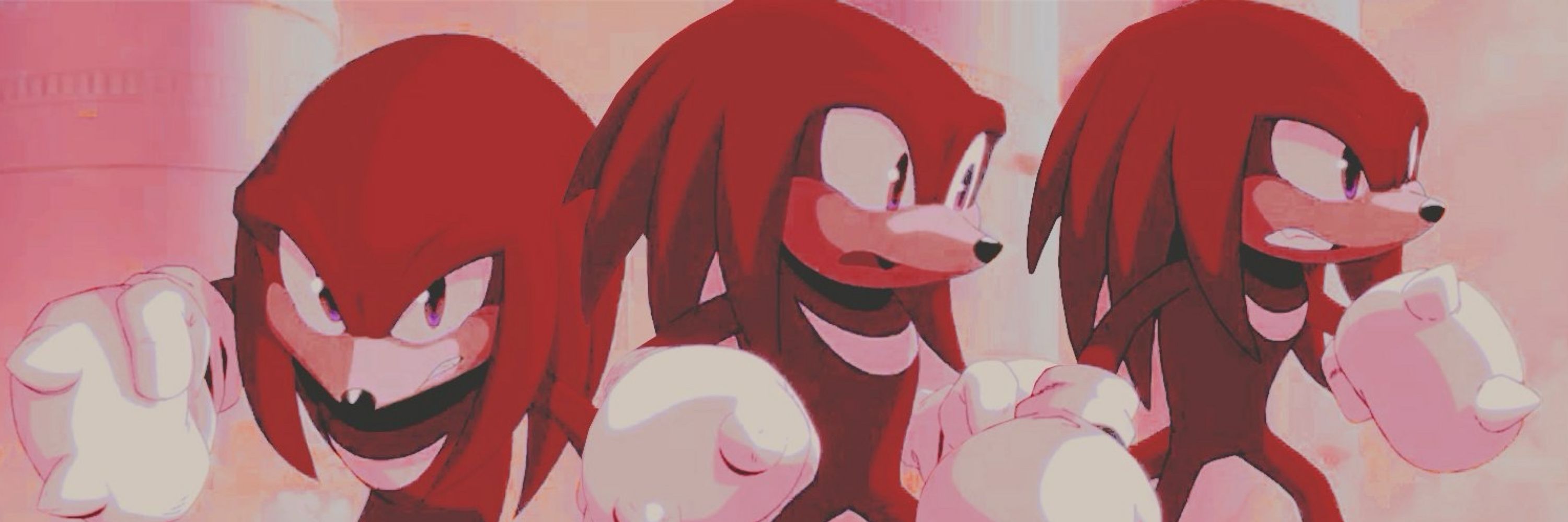 Knuckles the Echidna