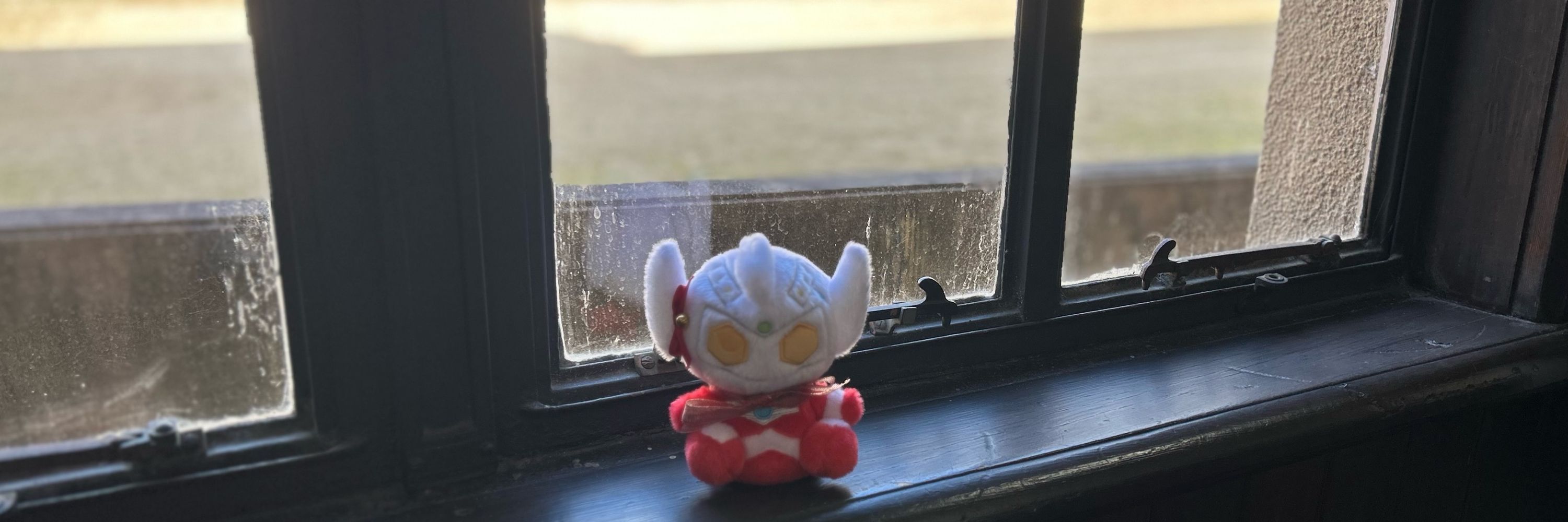 シキナ