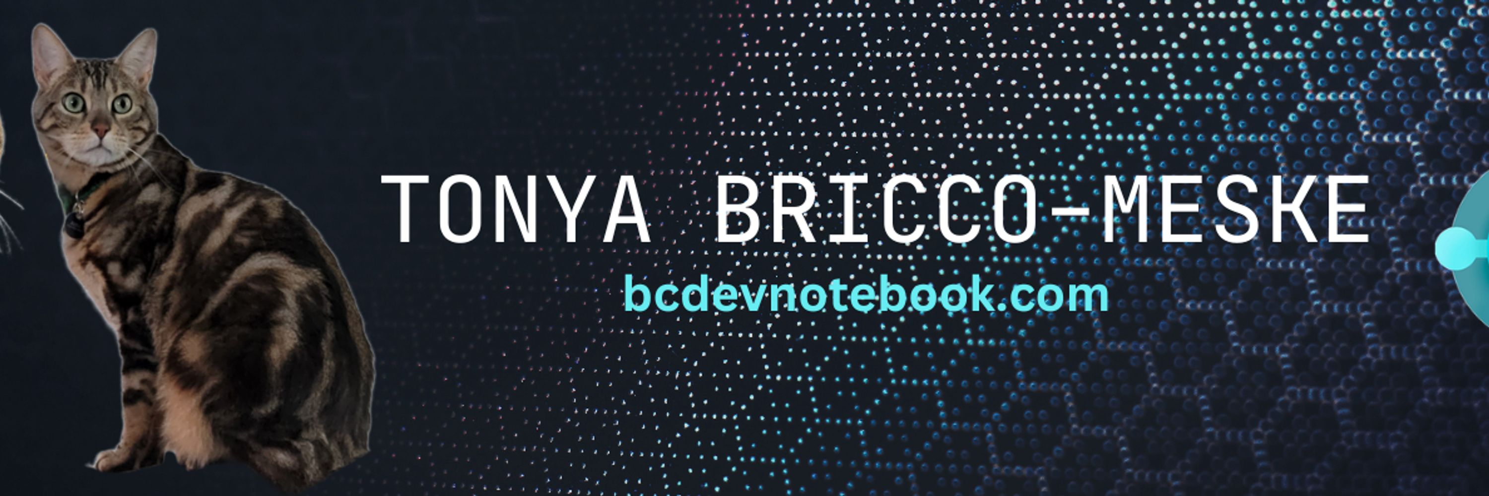 Tonya Bricco-Meske, Microsoft MVP
