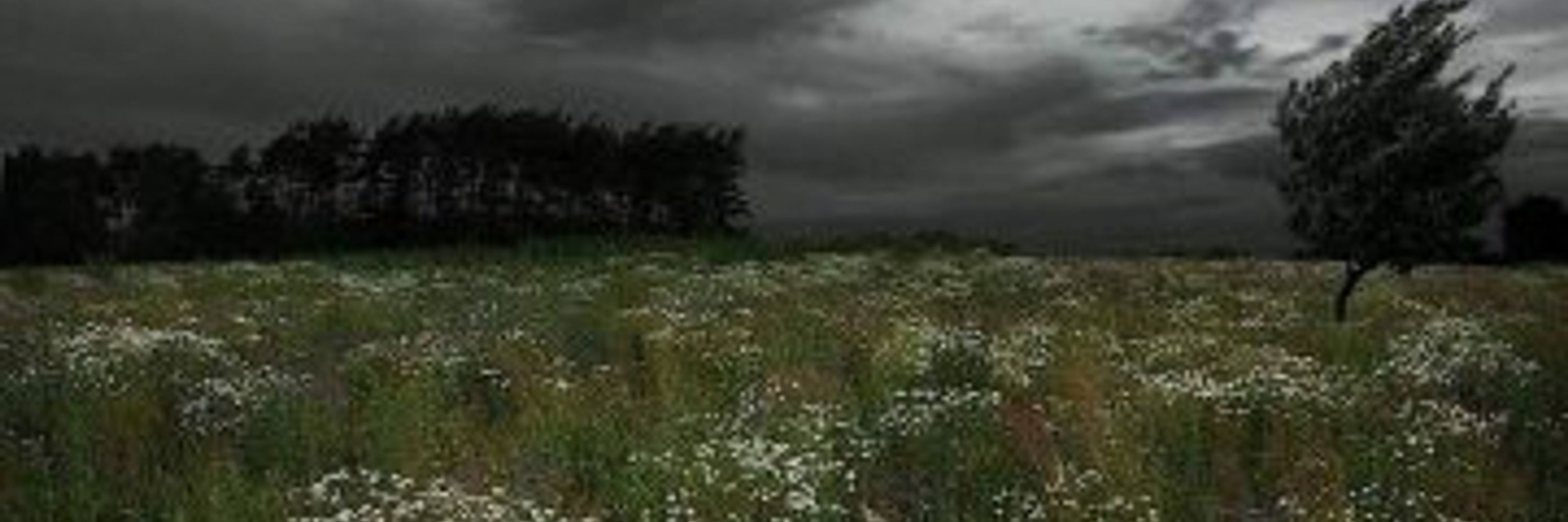 DarkTwilight180