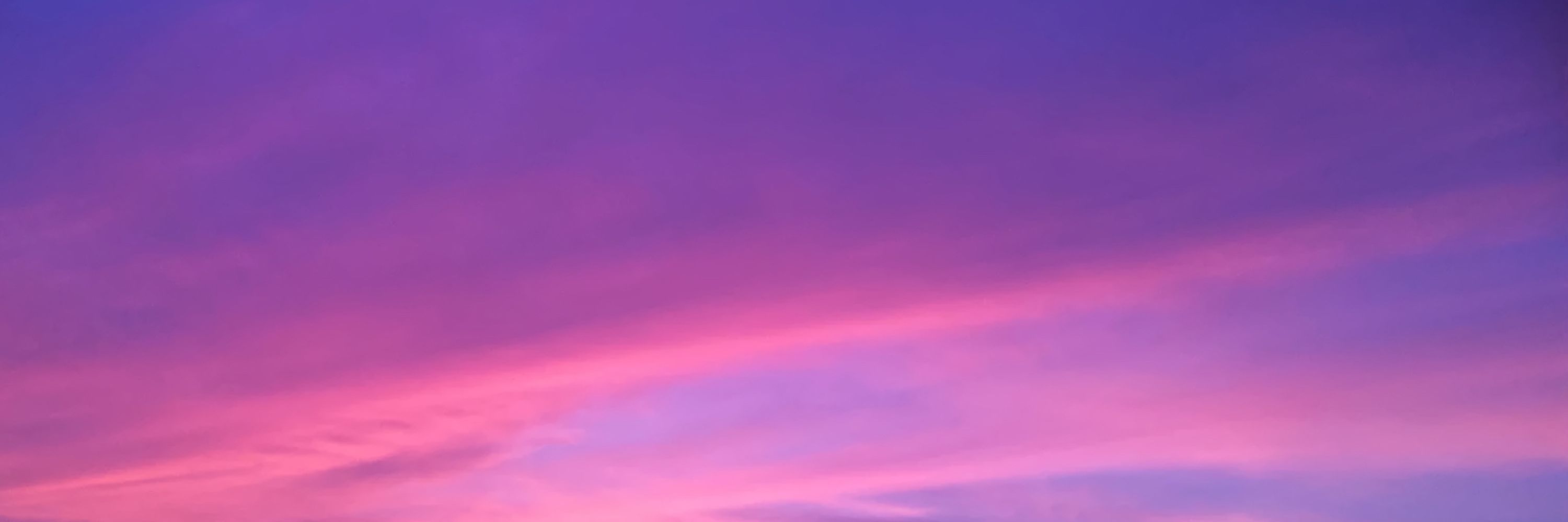 Purple Knight