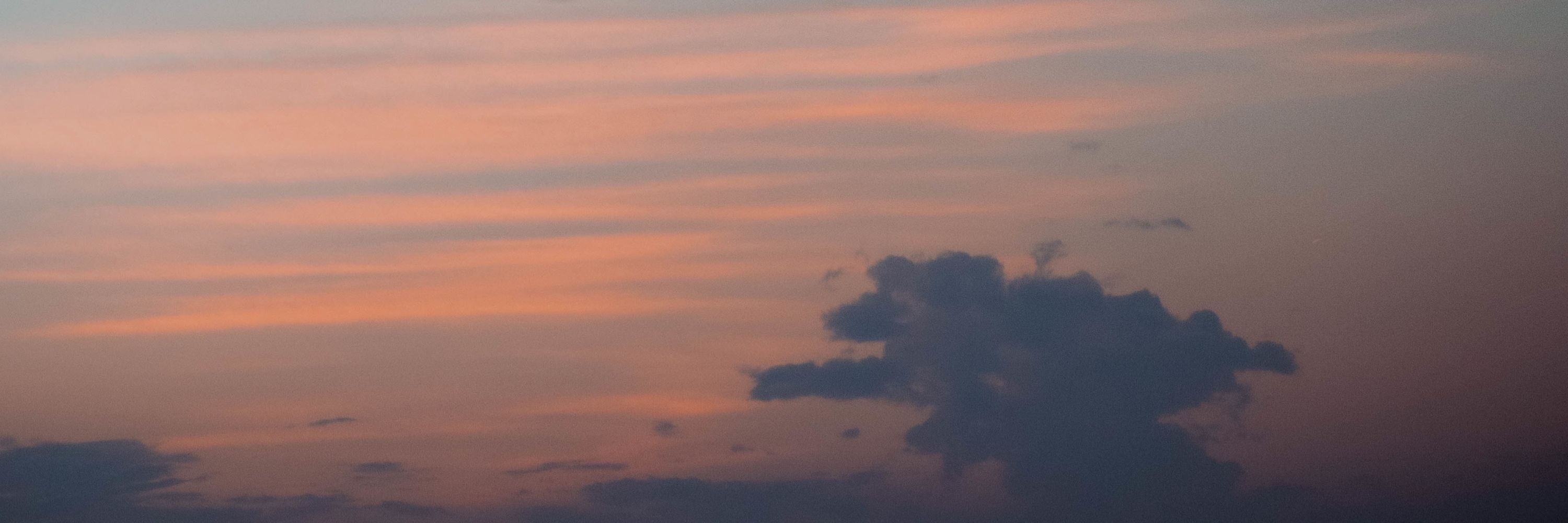 えりおゆ