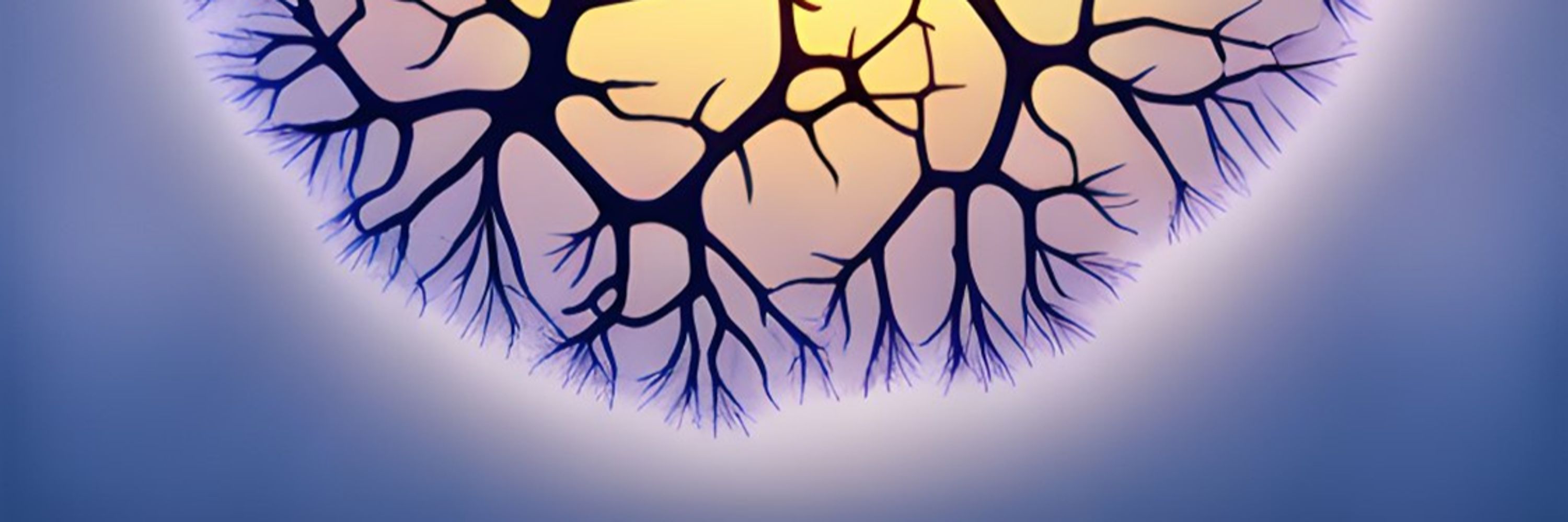 Molecular & Cellular Cognition Society