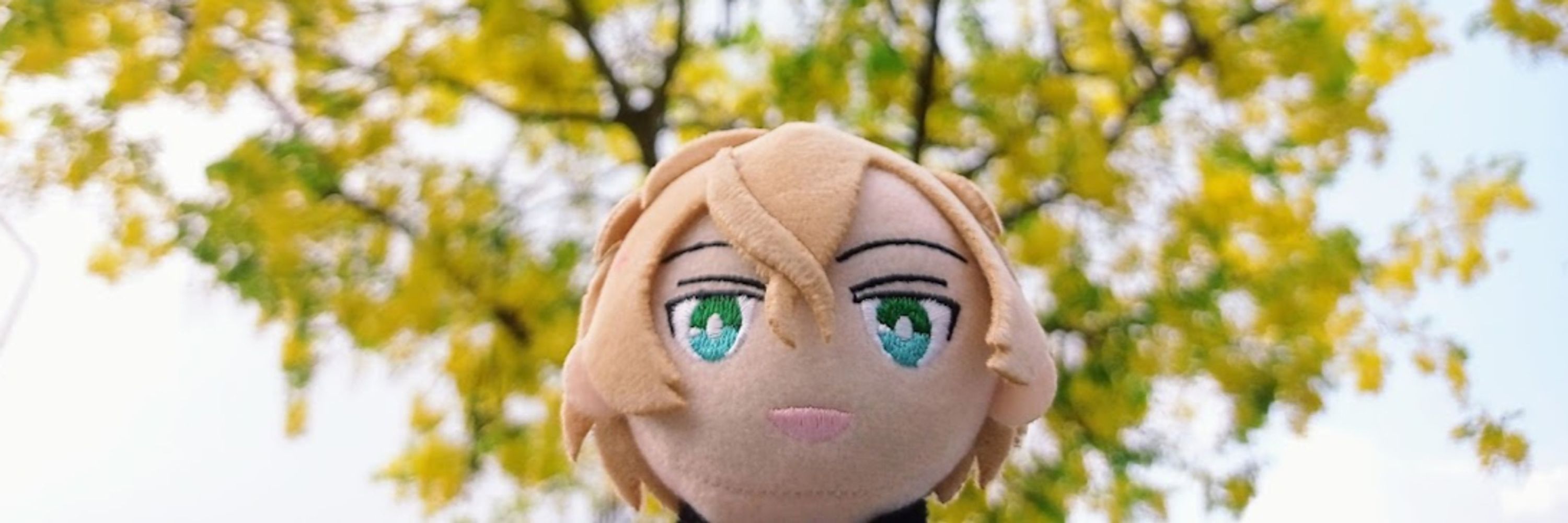 アンハ🍵