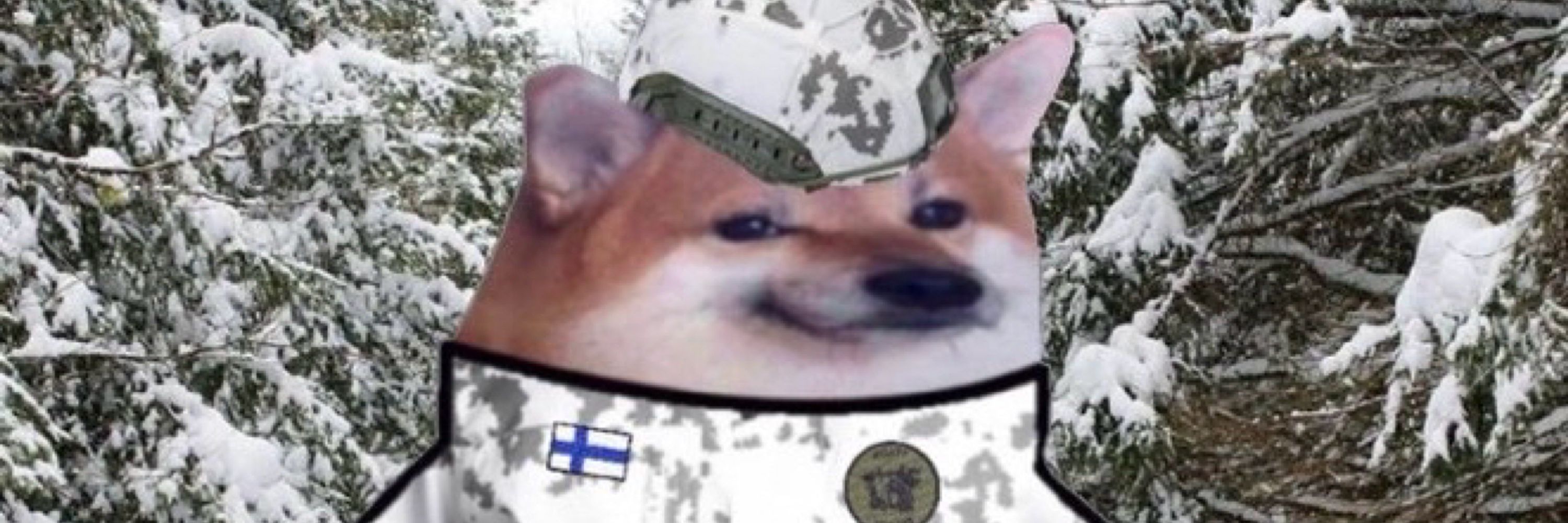 Snautzer fella