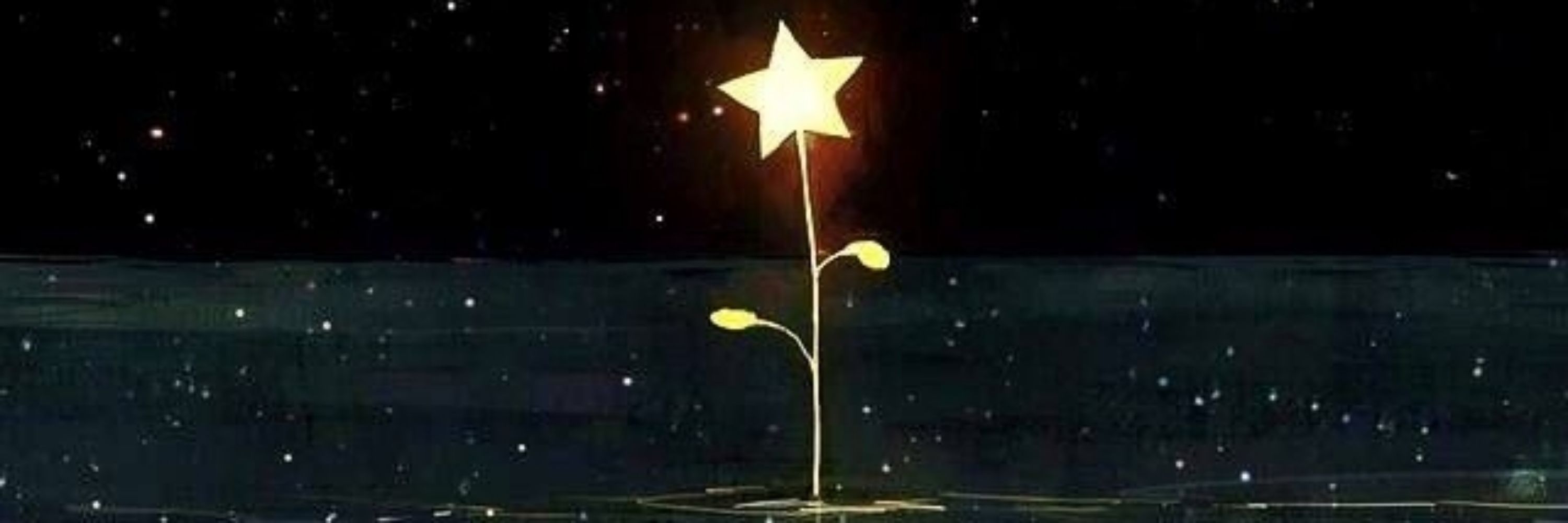 Luci MorningStar