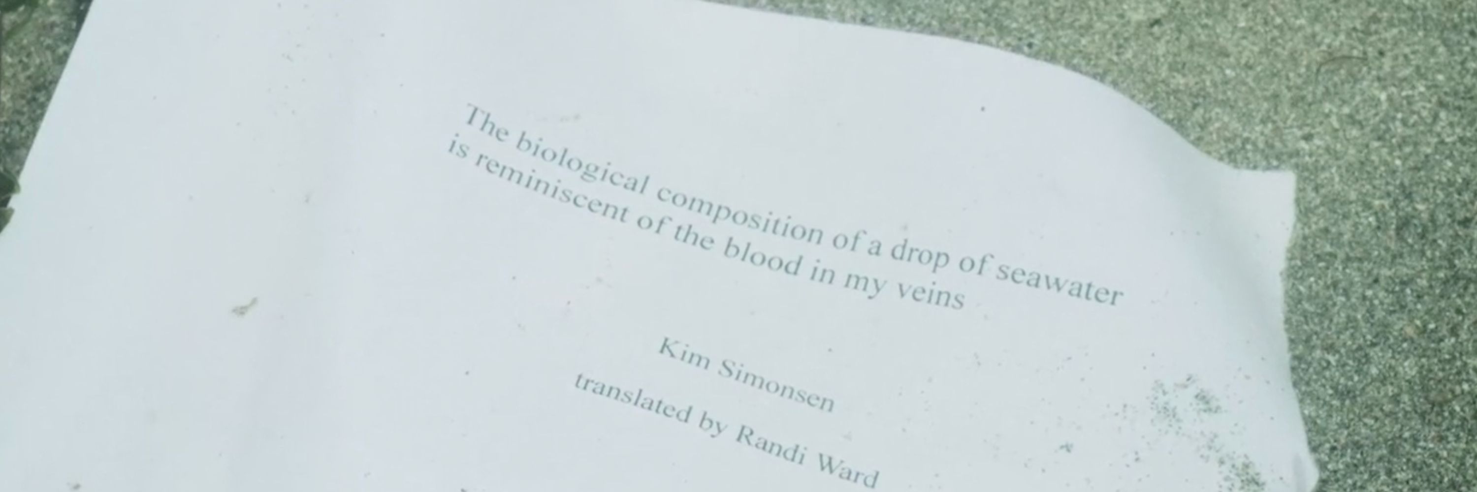 Kim Simonsen 