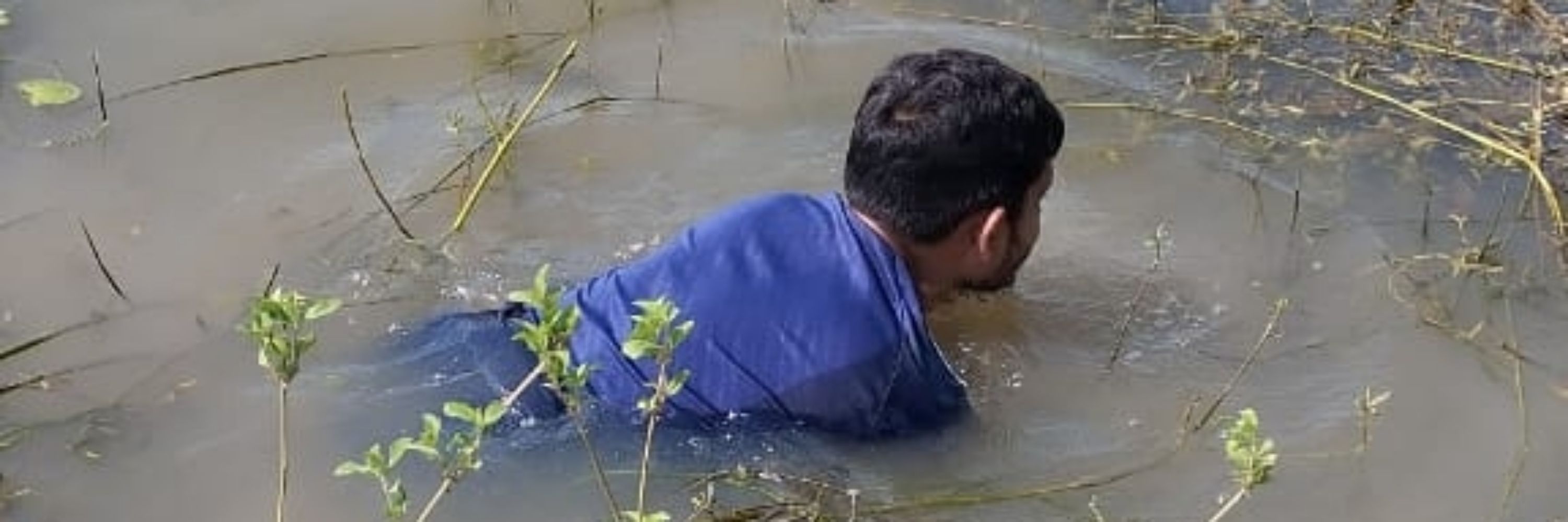 Invasive Mobassher
