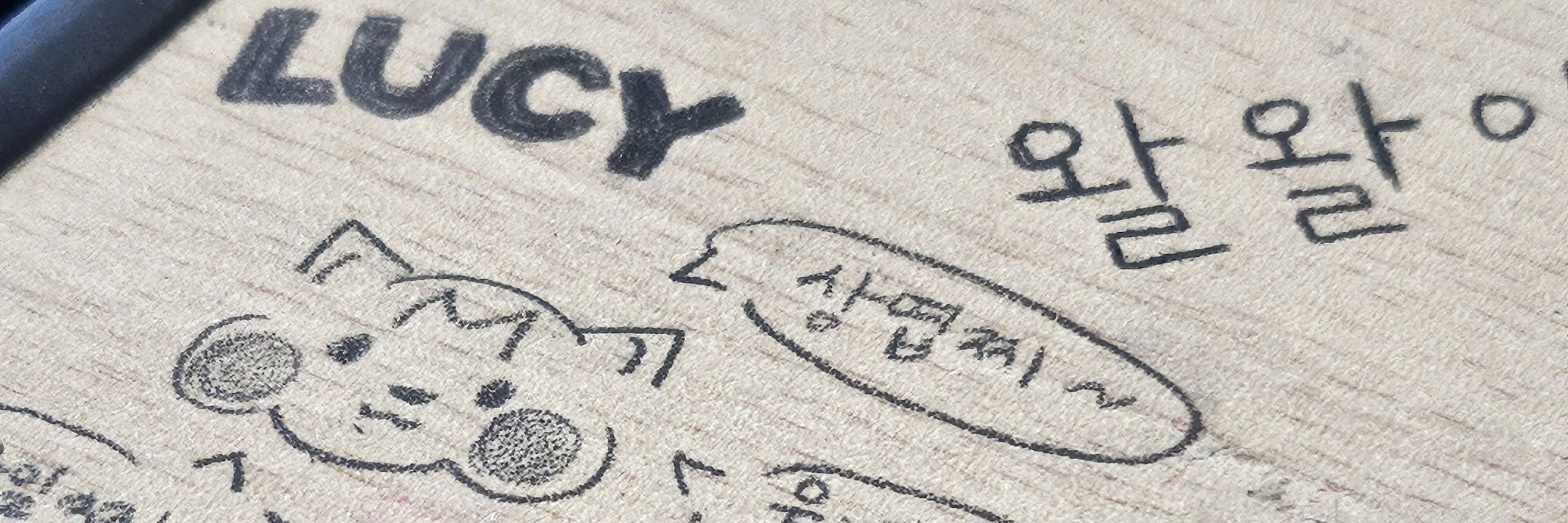 엽집왈왈이