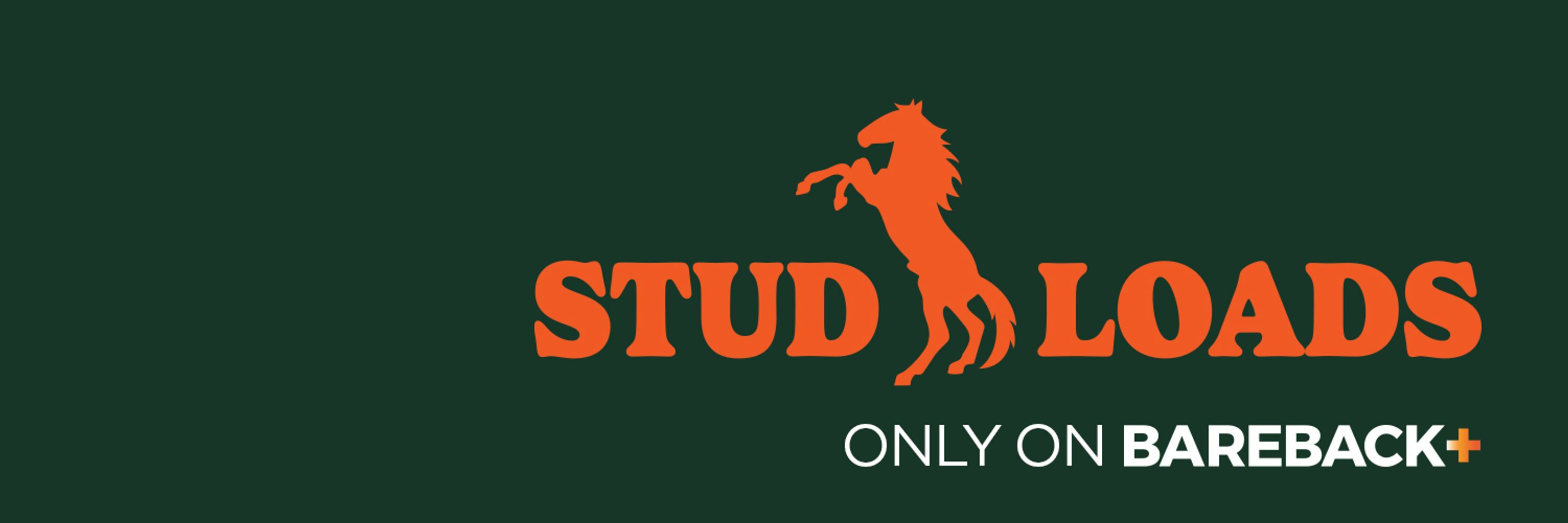 StudLoads