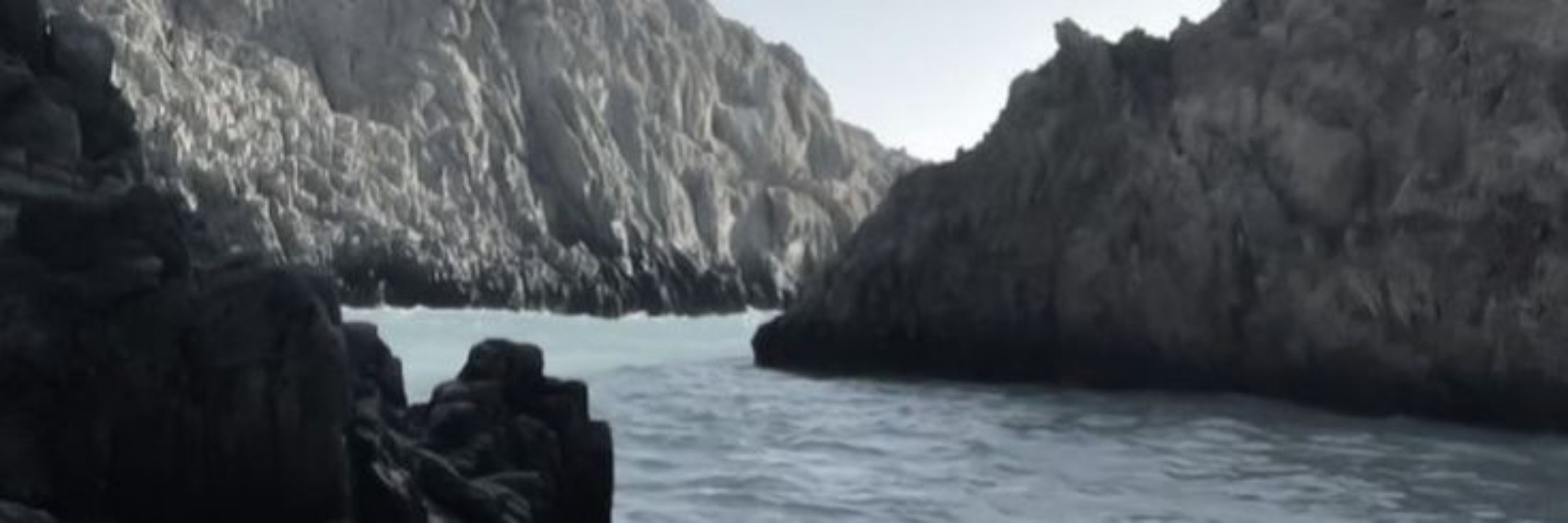 mavi, jurídico jacaerys velaryon