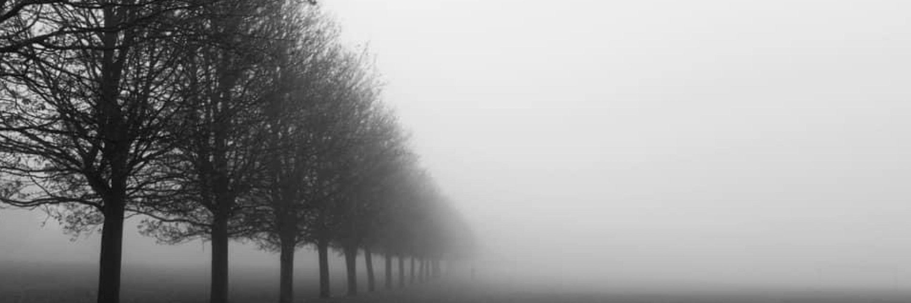 WILLIAM DARAN