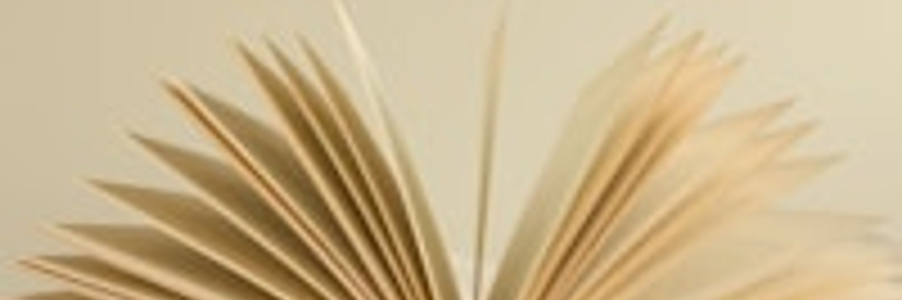 caryl hallberg, author (she,her)