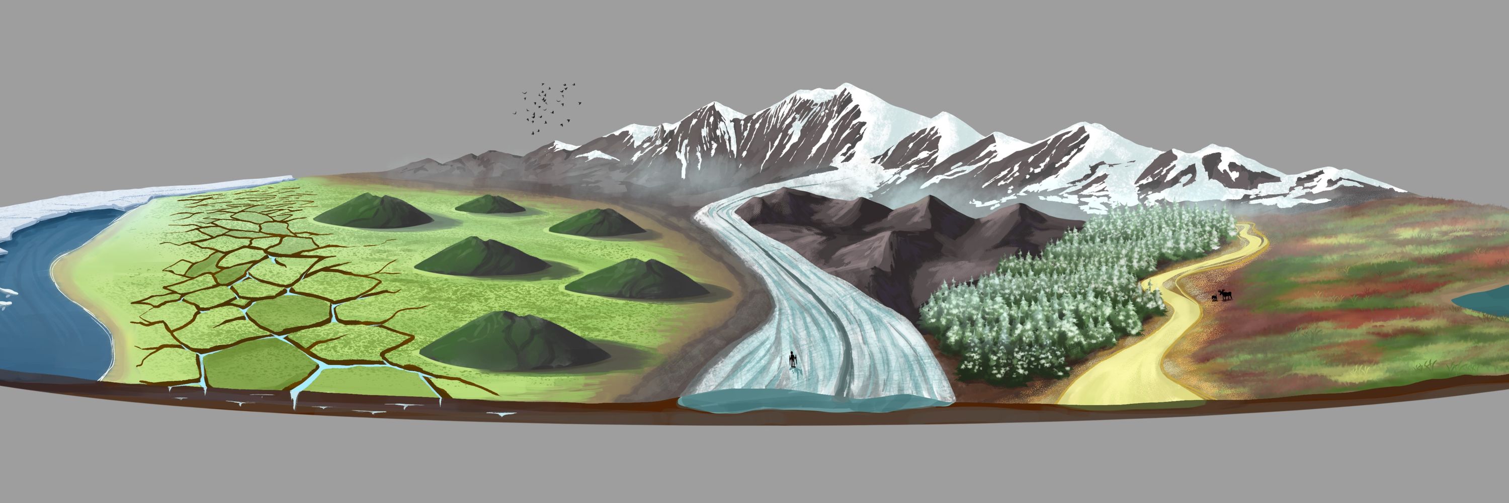 Elena Hartley | Science Illustrator