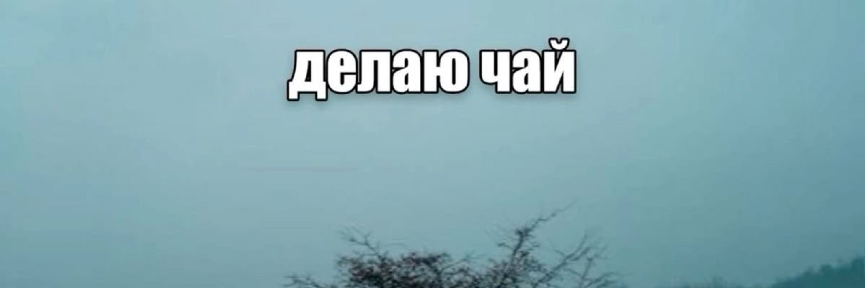 ПОДБОЛОТНИК АКА МОЛЬ