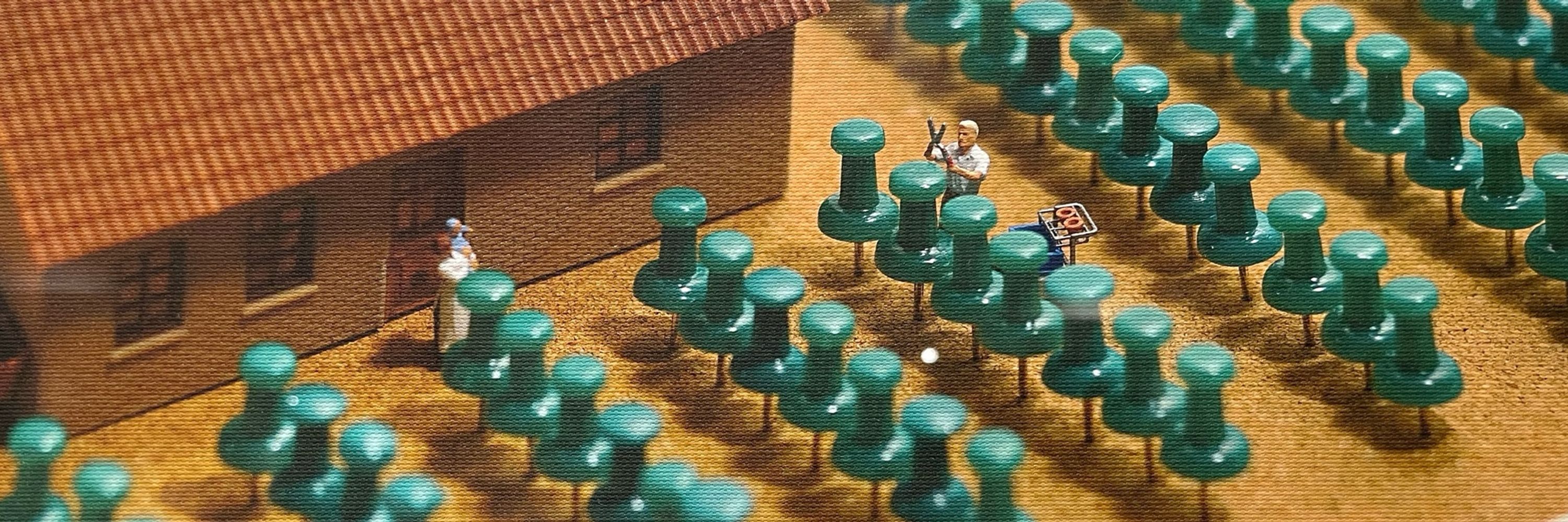とき
