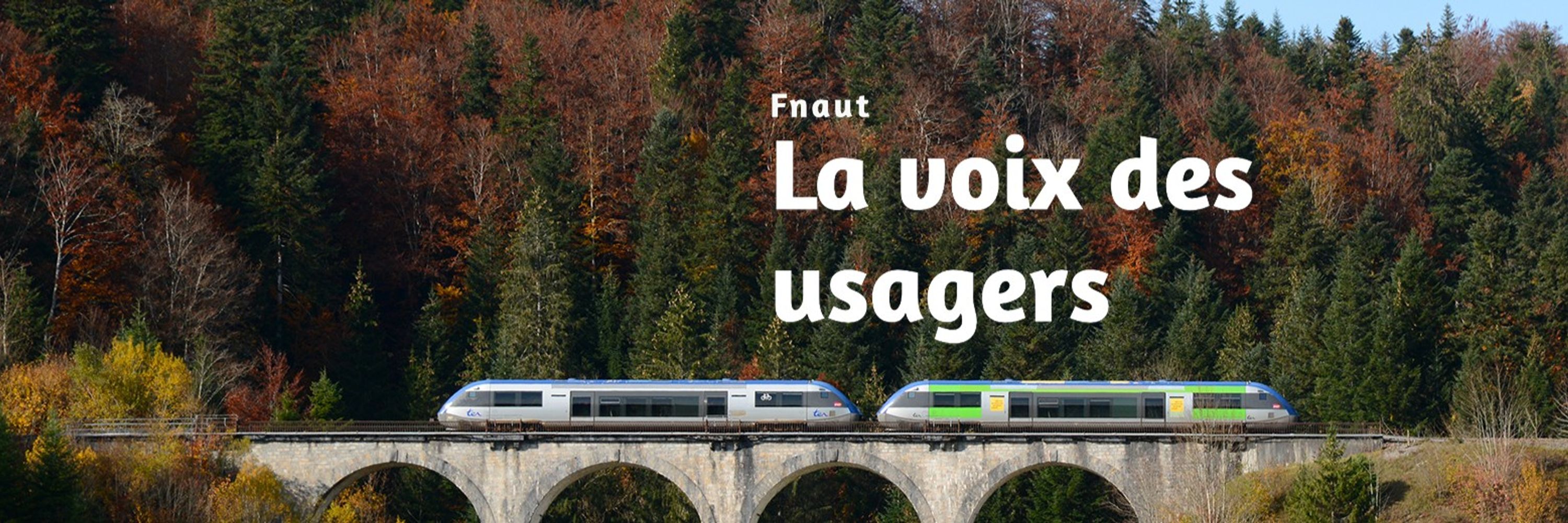 Fnaut