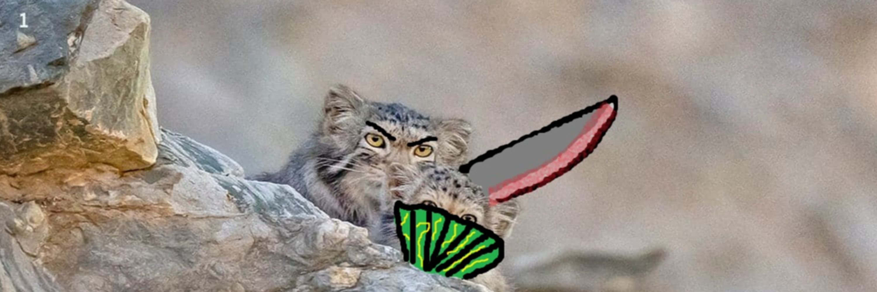 AaaAAa