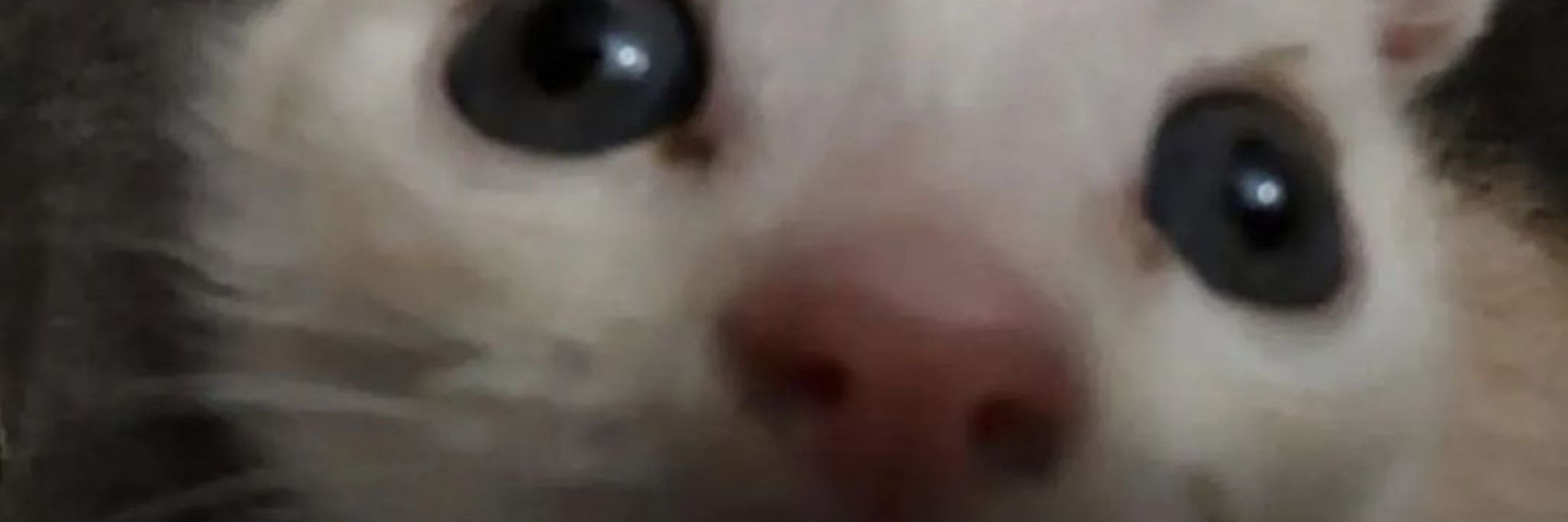 🥛