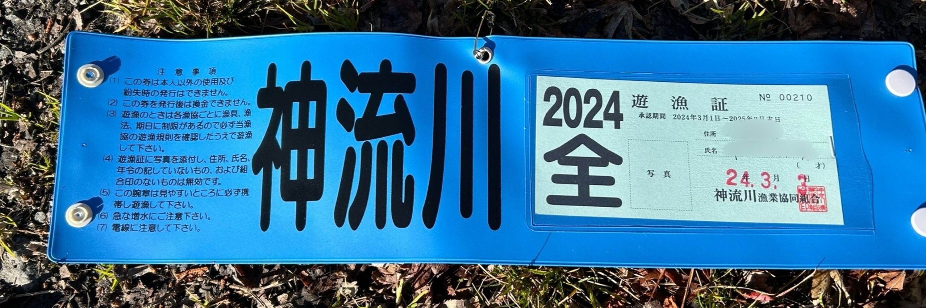 龍の兄弟
