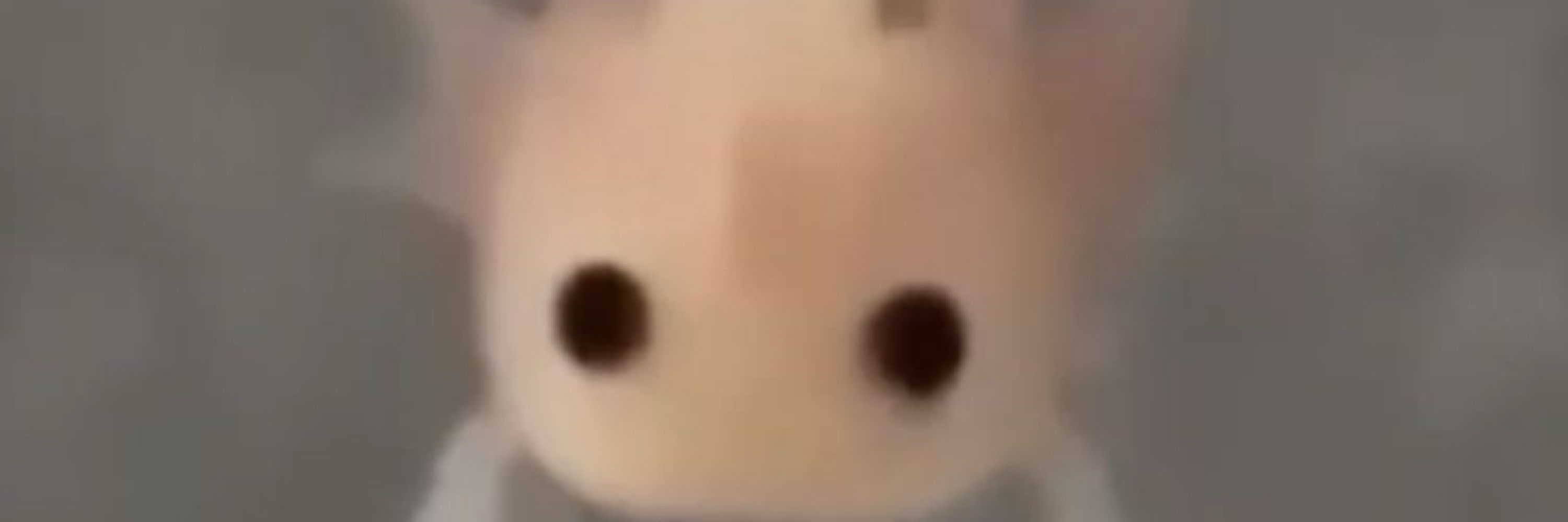 Leif