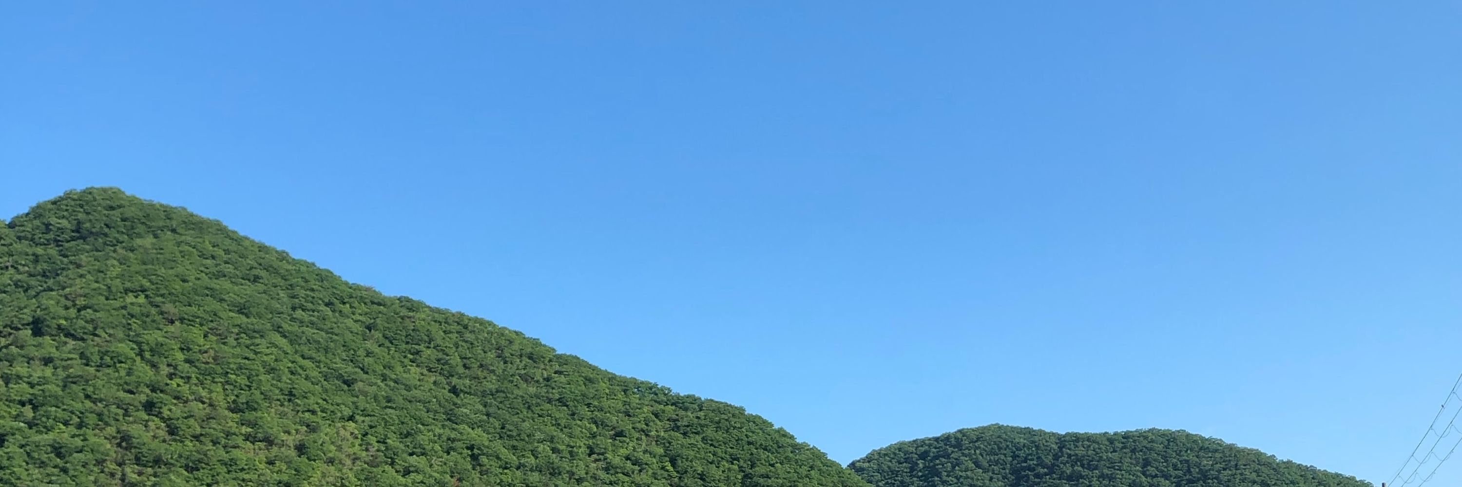 働くだんごむし